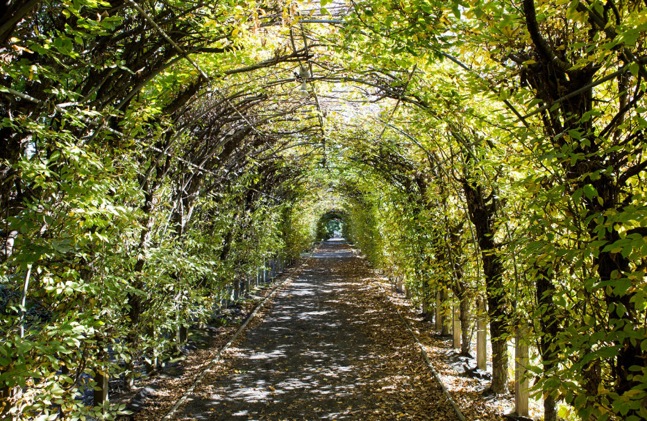 Snug Harbor Cultural Center & Botanical Garden, United States